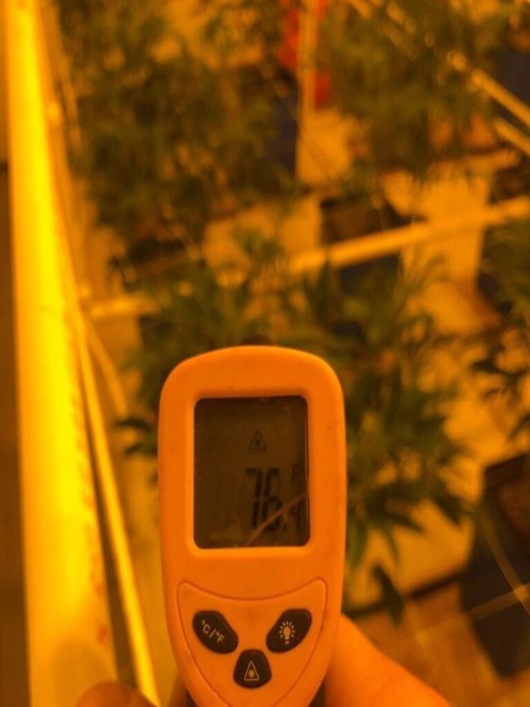 An IR thermometer is a great tool to use in your grow. Checking leaf temps can give you a lot of insight into the actual environment throughout your canopy.