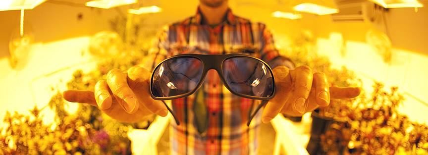Man holding a protective eyeglasses in a Lightroom