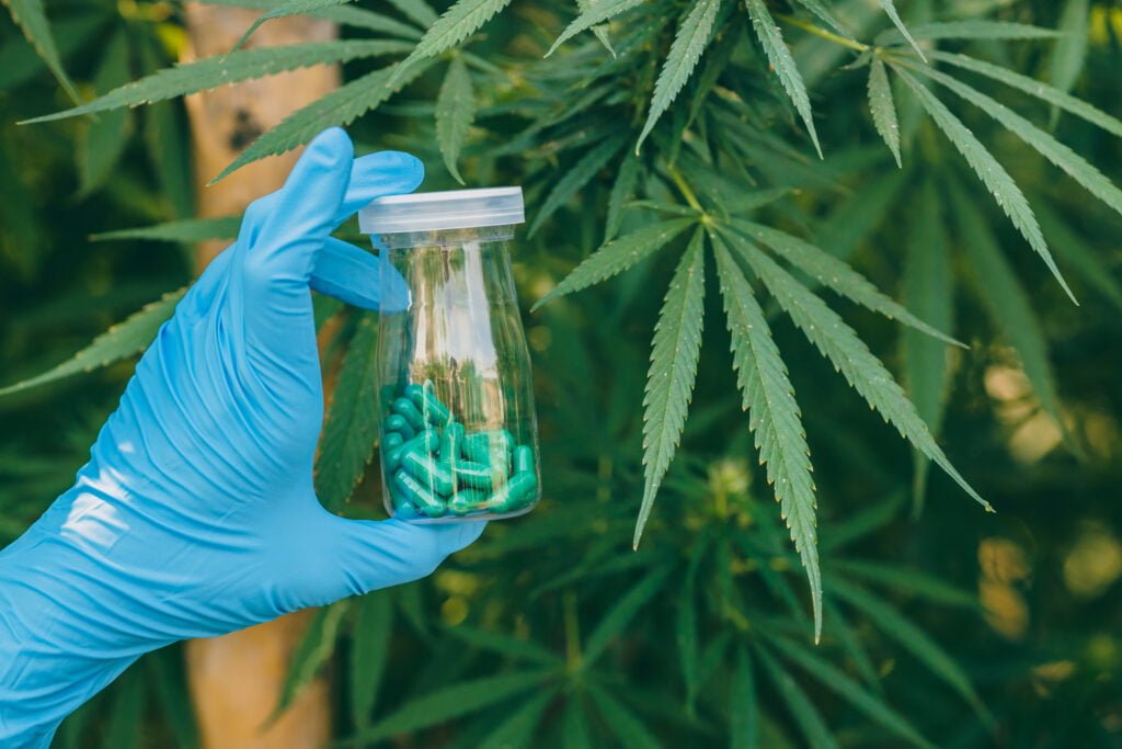 8 Façons De Mieux Produire Du Cannabis Pour L'extraction