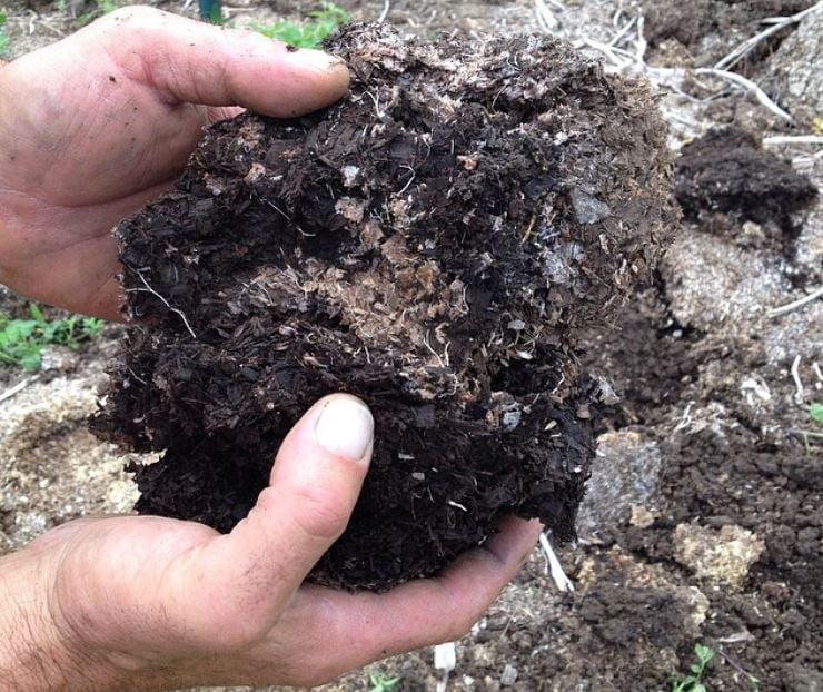 Fungal hyphae in the layer between the mulch and the soil. – Credit @theglenroadorganics