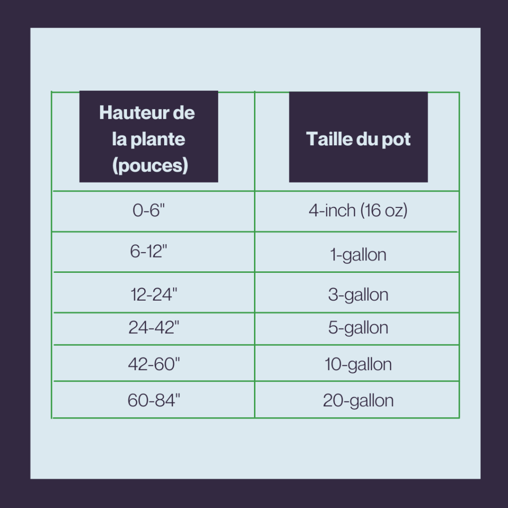 FR - Plant Height