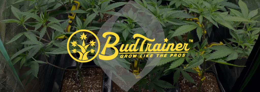 BudTrainer logo header with Biofloral logo